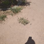 img_20250709_145146431